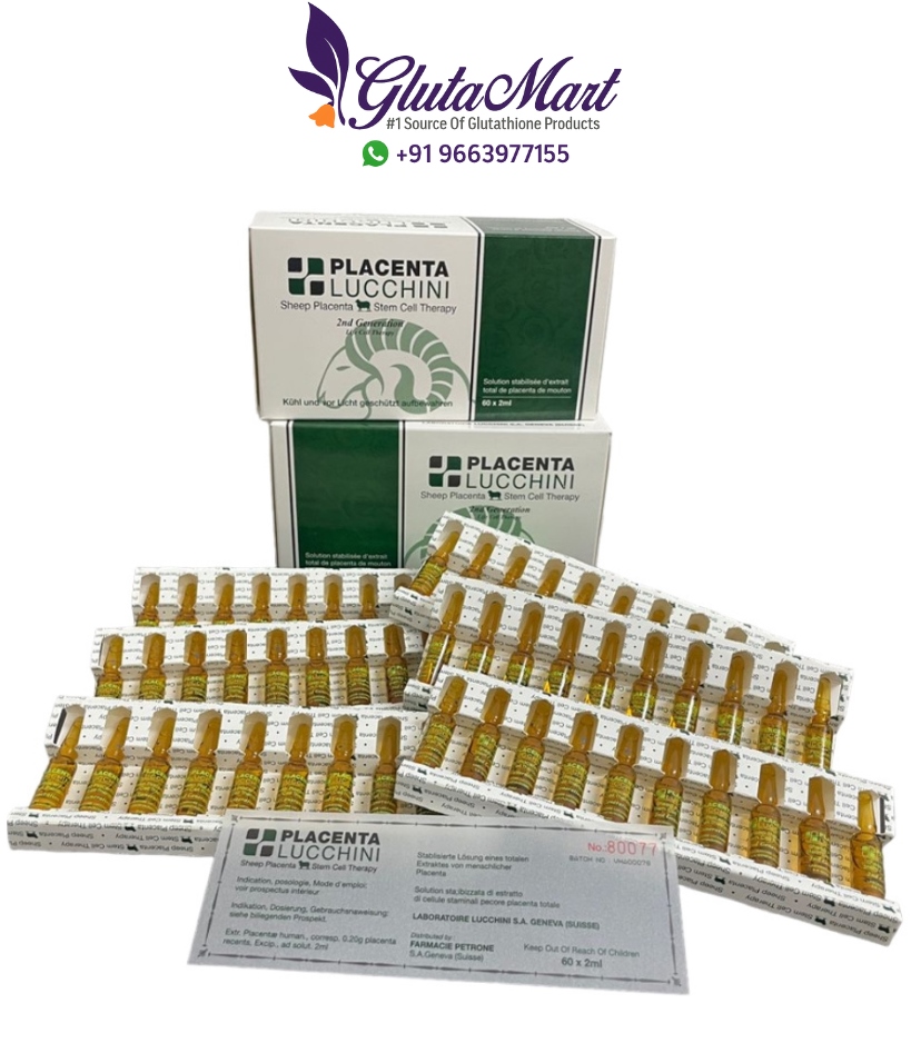 Lucchini Sheep Placenta Stem Cell Therapy 2nd Generation